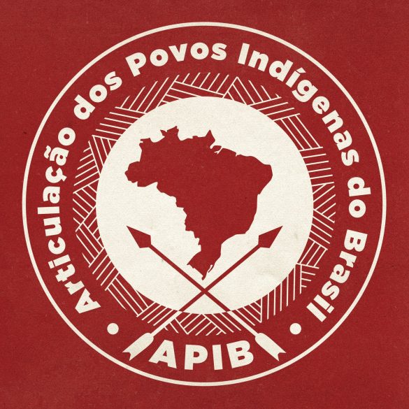 https://apiboficial.org/